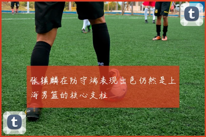 张镇麟在防守端表现出色仍然是上海男篮的核心支柱