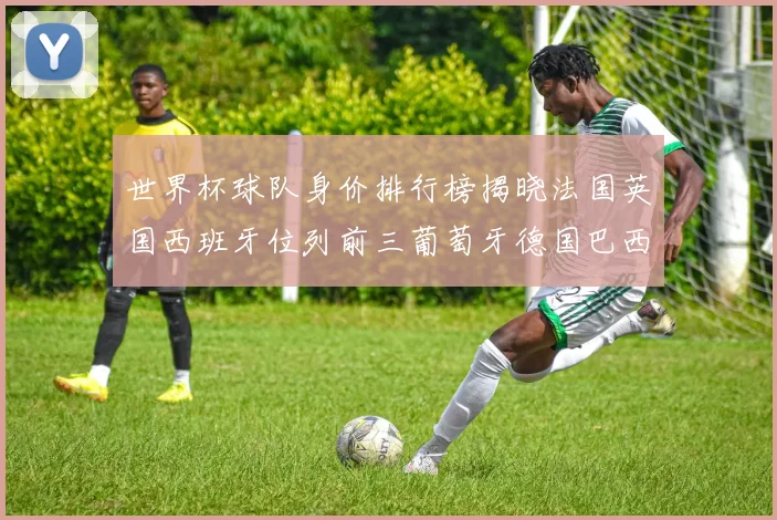 世界杯球队身价排行榜揭晓法国英国西班牙位列前三葡萄牙德国巴西身价均超九亿欧元